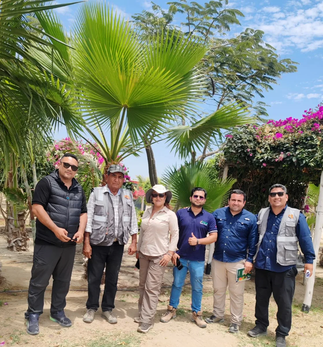 IMBO — Equipo técnico en campo durante ejecución de obra, Perú
