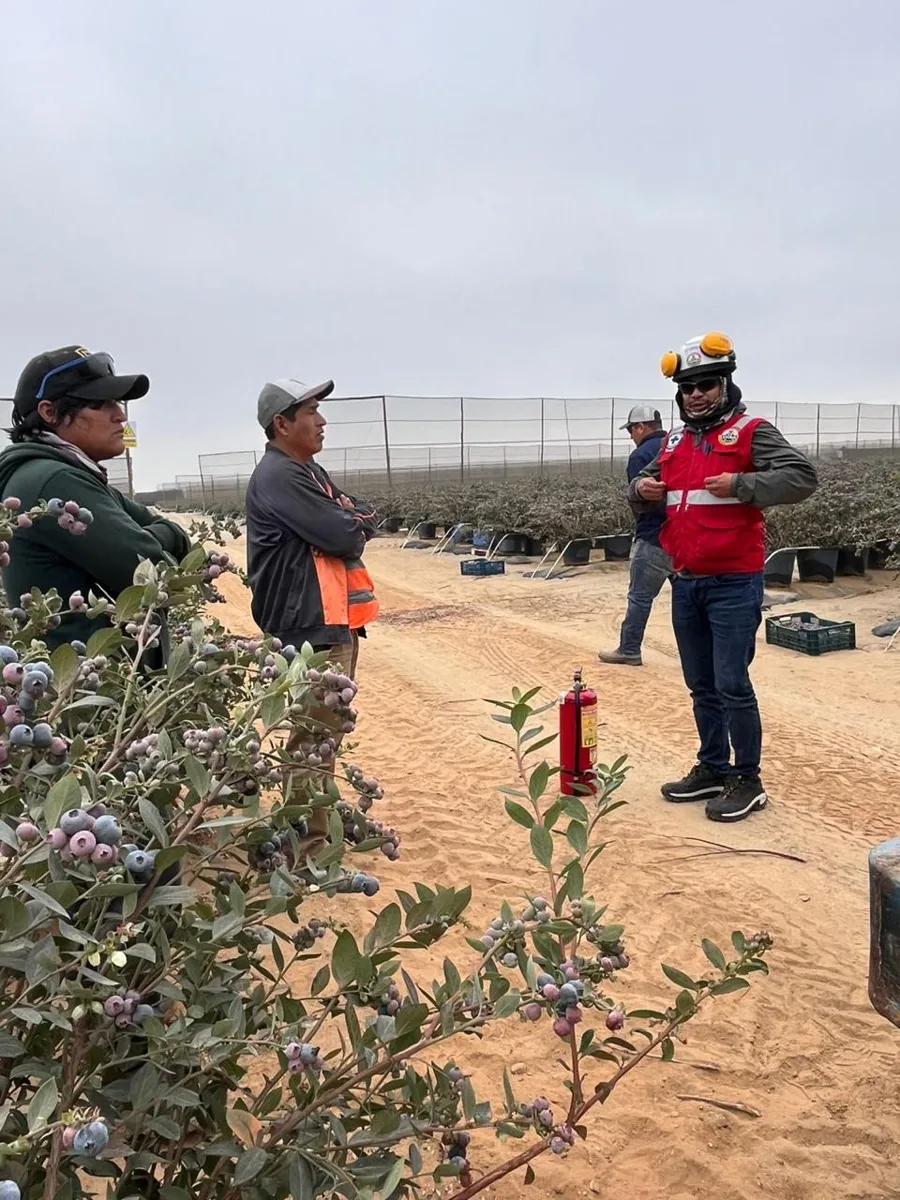 IMBO — Retroexcavadora en operación en proyecto de la región norte del Perú